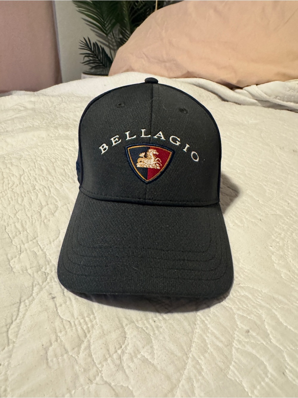 Black Embroidered Crest Baseball Cap